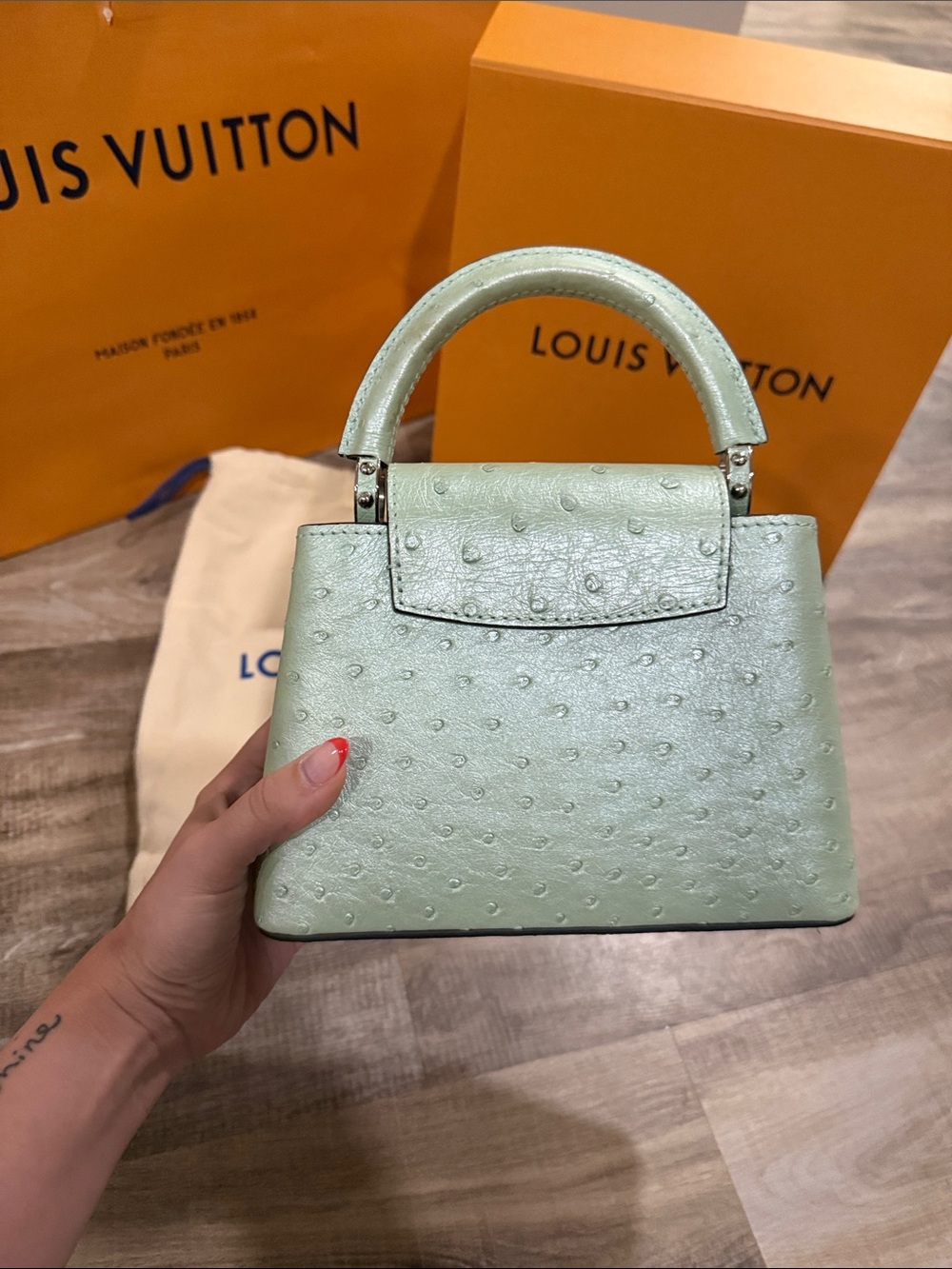 Louis Vuitton Capucines Mini Bag Exotic Ostrich in Mint Green - Picture 5 of 15